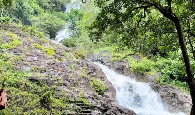 Khao Yai National Park Waterfalls Day Trip from Pattaya thumbnail