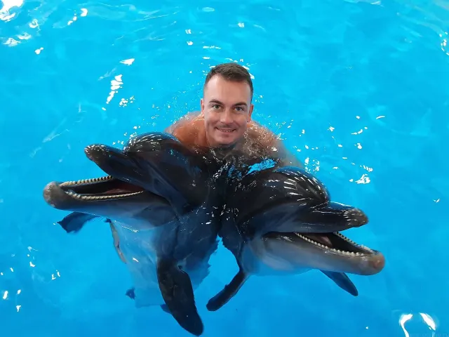 Pattaya Dolphinarium: Dolphin & Fur Seal Show with Transfer thumbnail