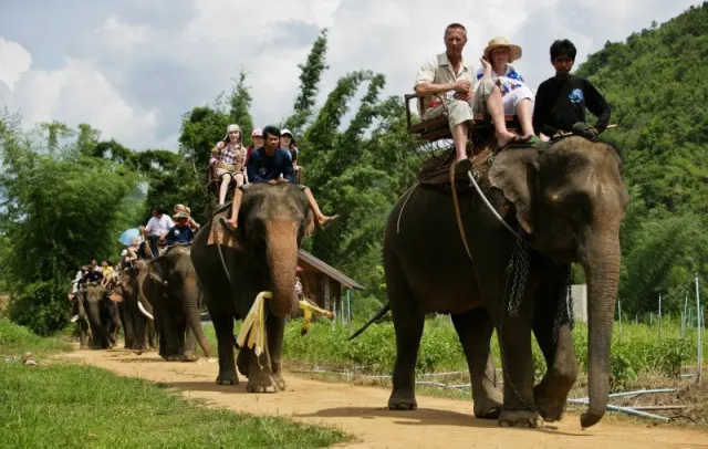Pattaya Elephant Village Elephant Riding Tour thumbnail