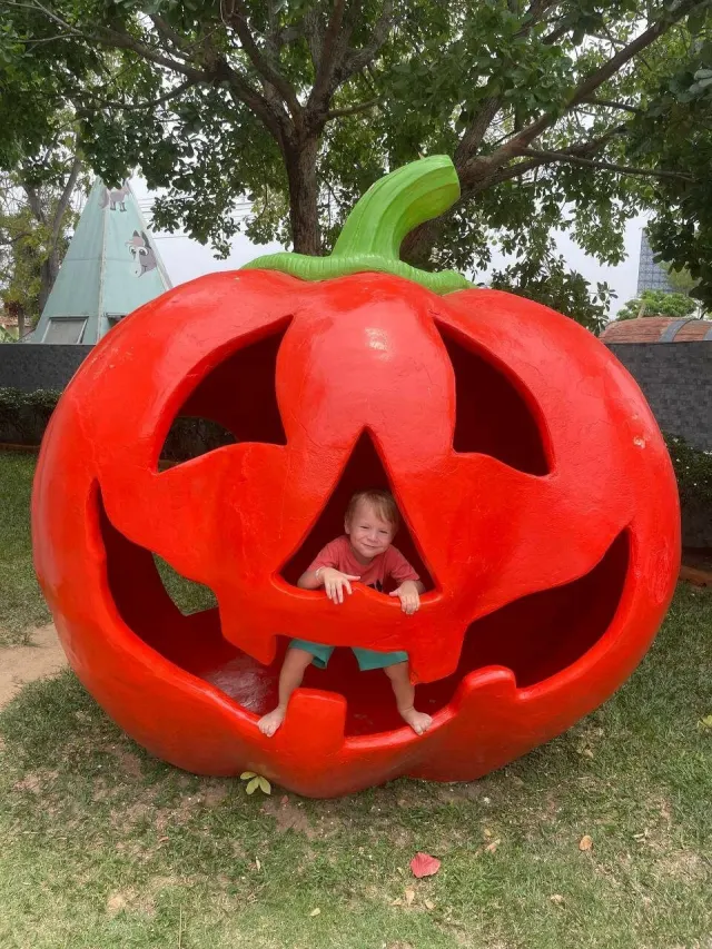 Pattaya Kids Tour: Dolphin Show, Pony Club and Monster Aquarium thumbnail
