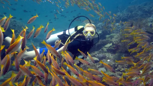 Phuket Scuba Diving Trip in the Andaman Sea thumbnail