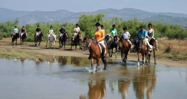 Kuşadasi horseback safari