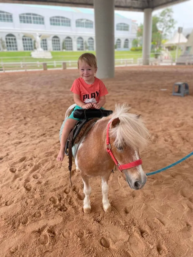 Pattaya Kids Tour: Dolphin Show, Pony Club and Monster Aquarium thumbnail