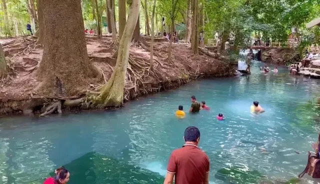 Khao Yai National Park Waterfalls Day Trip from Pattaya thumbnail