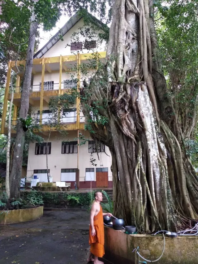 Pattaya'dan Chanthaburi safir avı turu thumbnail