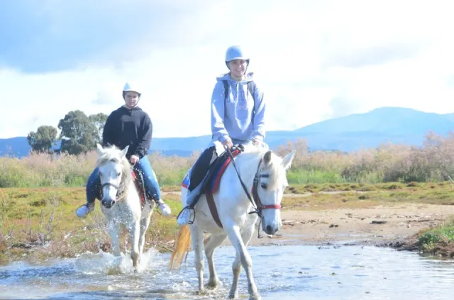 Kuşadasi horseback safari thumbnail