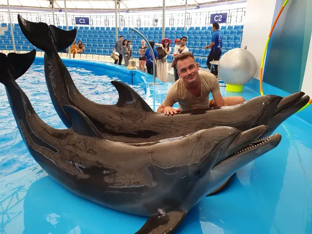 Pattaya Dolphinarium: Dolphin & Fur Seal Show with Transfer thumbnail