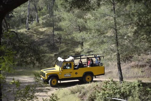 Canyon & Waterfall Jeep Safari