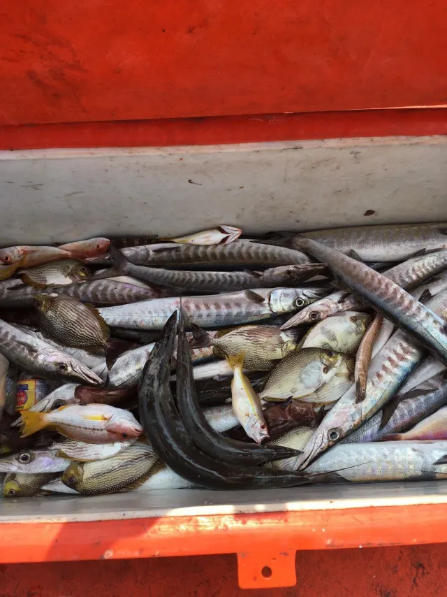 Pattaya Deep-Sea Fishing Trip for Predatory Fish thumbnail