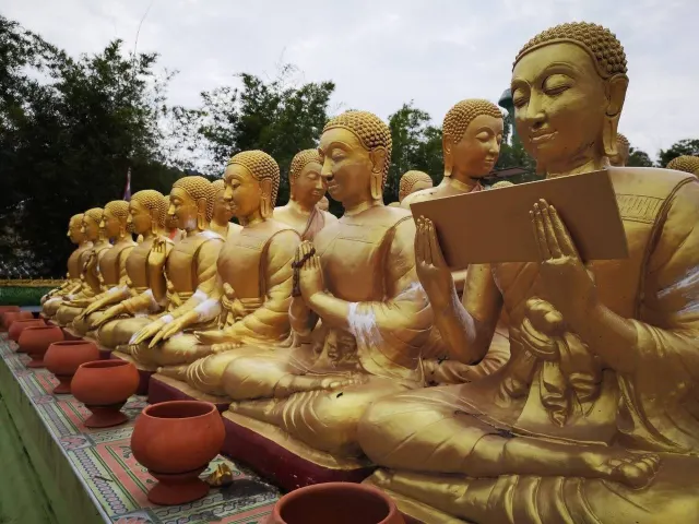 Amazing Thailand Day Trip from Pattaya: Khao Yai Rafting & Temples thumbnail