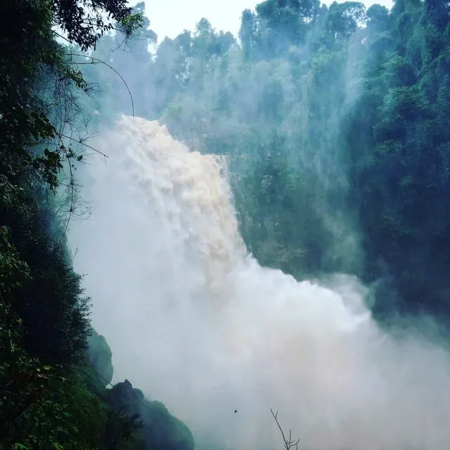 Khao Yai National Park Waterfalls Day Trip from Pattaya thumbnail