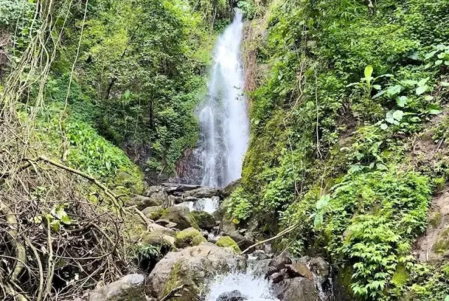 Khao Yai National Park Waterfalls Day Trip from Pattaya thumbnail