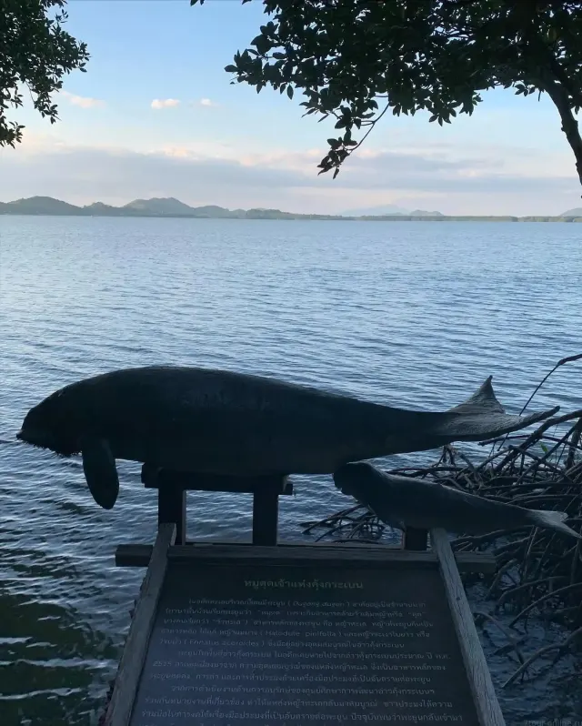 Chanthaburi Day Trip From Pattaya: Waterfall, Cathedral, Dolphins thumbnail