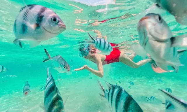 Pattaya'dan Samet dahil 9 ada sürat teknesi turu thumbnail