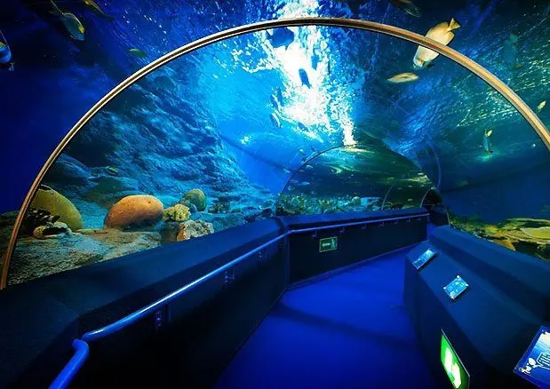 Underwater World Pattaya Aquarium Tour with Hotel Transfer thumbnail