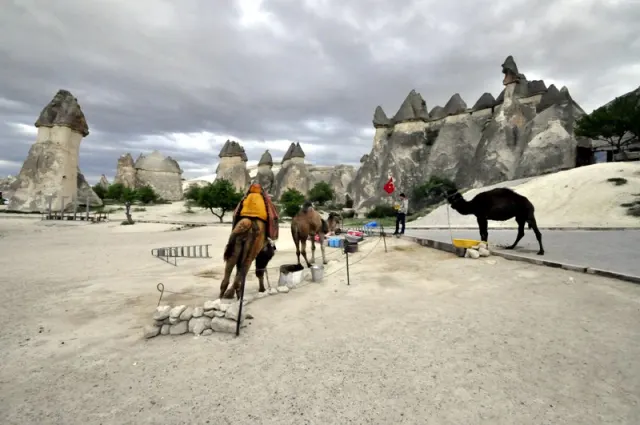 Camel Safari in Cappadocia thumbnail