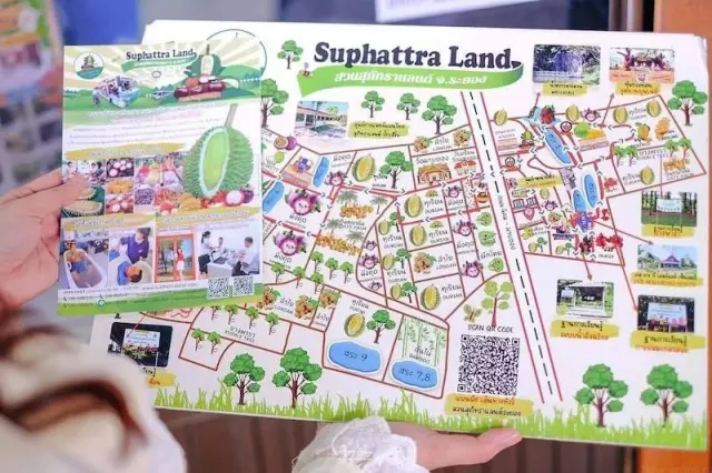 Pattaya'dan gastronomi turu: meyve, bal, şarap ve lale çiftliği thumbnail