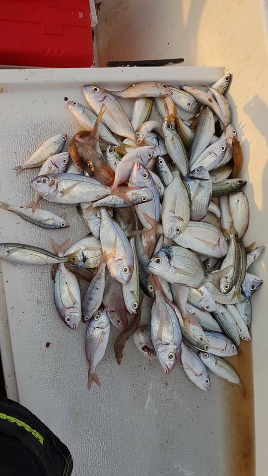 Private Yacht with Fishing Around Fethiye Islands from Fethiye