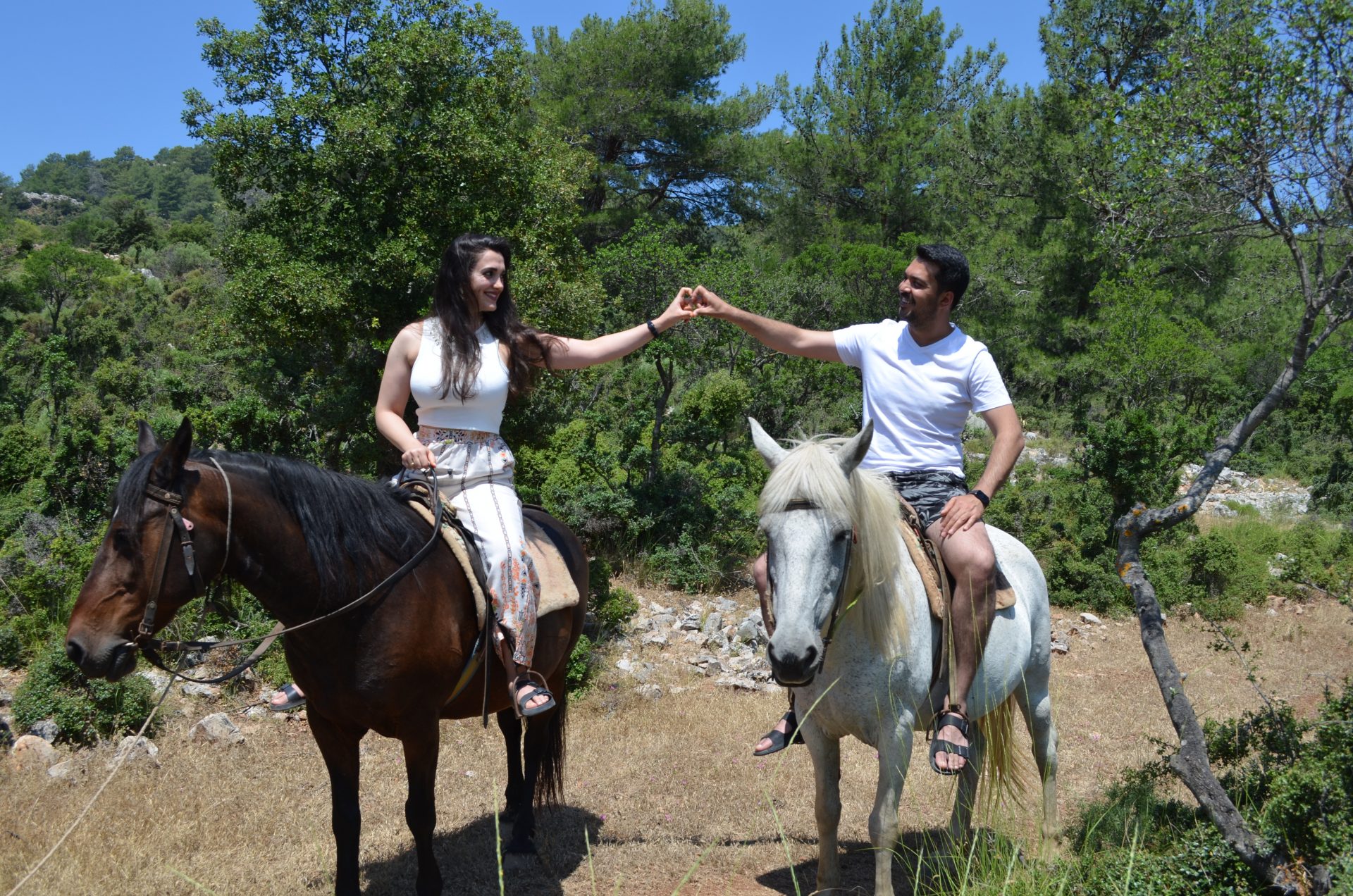 Fethiye'de At Safarisi